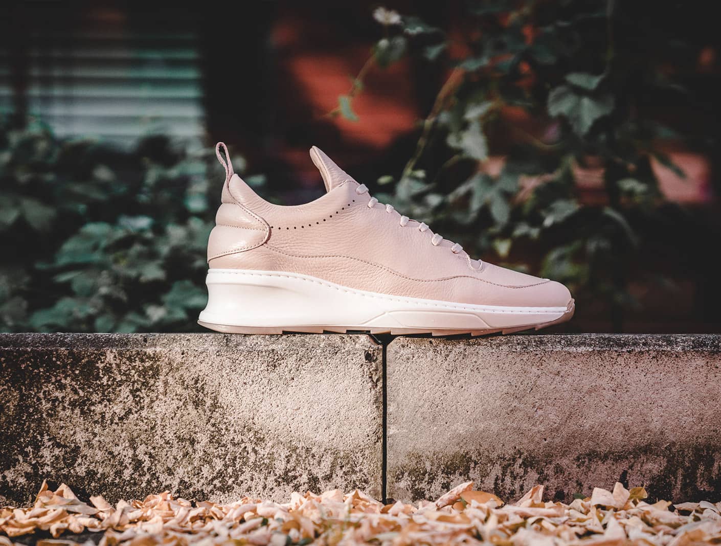 Suspendisse quis eros cursus which looks